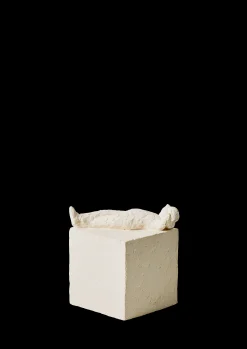 Kähler Fisk H13 i hvid fra serien Astro | Rosendahl.com